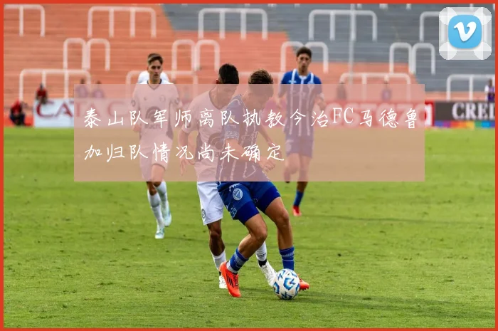 泰山队军师离队执教今治FC马德鲁加归队情况尚未确定