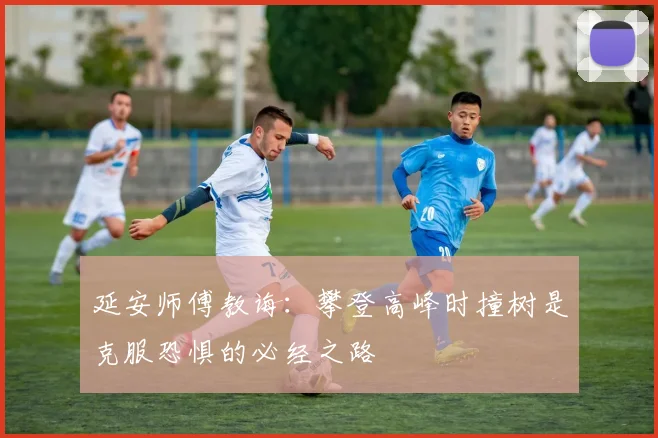 延安师傅教诲：攀登高峰时撞树是克服恐惧的必经之路